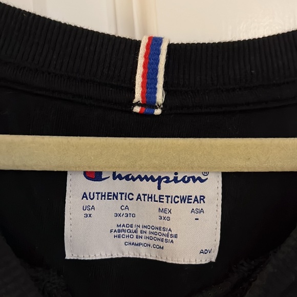 Champion Sweatshirt, Slightly Cropped Shorter Length - Picture 2 of 4